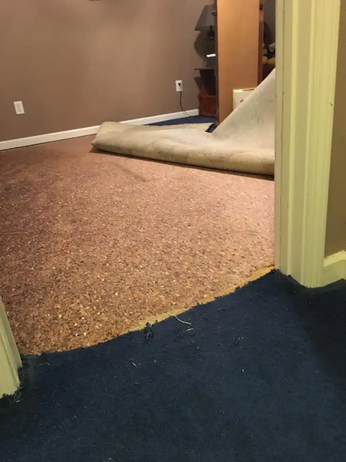 Carpet pad removal revealing water damage during Water Mitigation Services in Milford